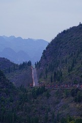 804426
