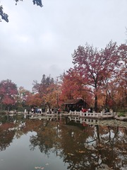 1000016175
