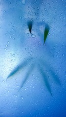 WP_20140325_010
