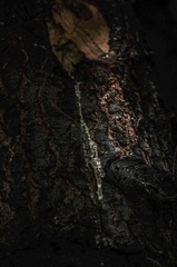 2509882