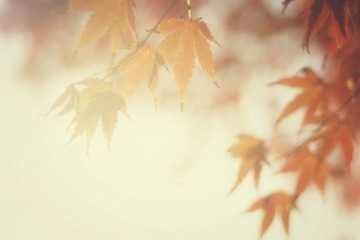 20131130-083218