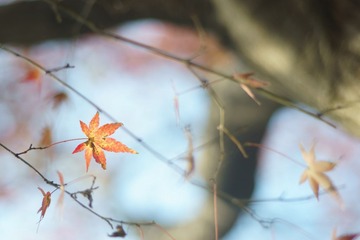 20131130-081319