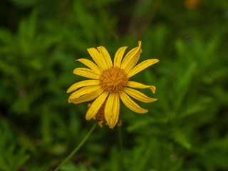 1000040424