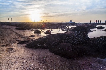 IMG_9145.jpg