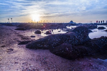 IMG_9146（1）.jpg