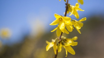IMG_1523.jpg