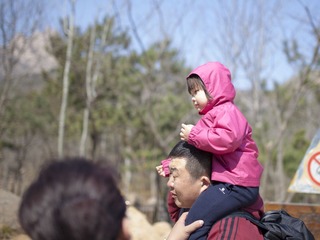 IMG_1543.jpg