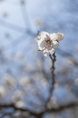 IMG_1608.jpg