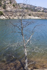 IMG_1611.jpg