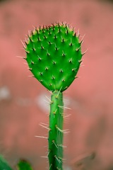 38417