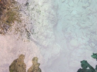 IMG_2176.jpg