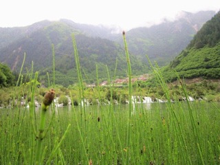 IMG_2139_副本.jpg
