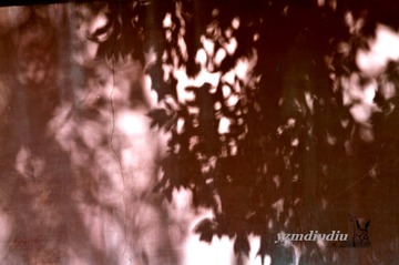 Canon EOS 7D F5.0 ISO100 EF70-300mm f_4-5.6 IS USM090
