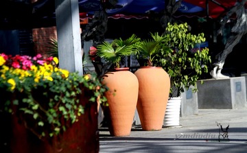 Canon EOS 7D F5.0 ISO100 EF70-300mm f_4-5.6 IS USM004