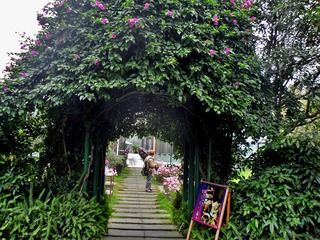 SAM_0425