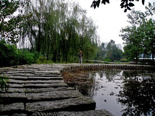 SAM_0370