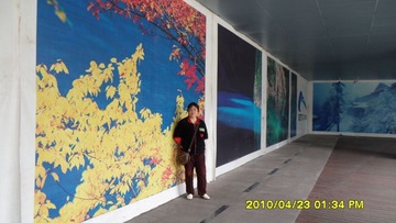 SAM_0952