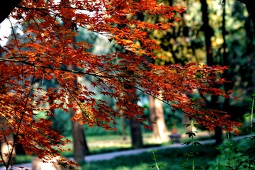 IMG_1694 (2)