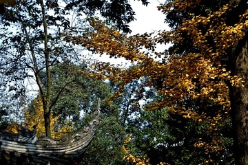 IMG_1803 (2)