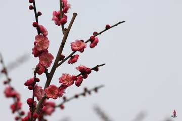 2013.1.27.A 985