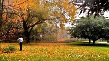 SAM_0004