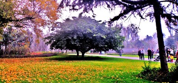 SAM_0007