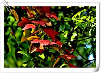 IMG_1753 (2)