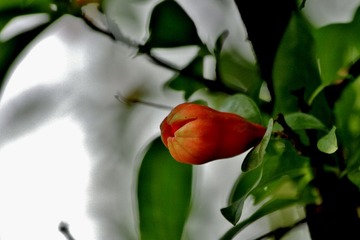 2012.12.22.A 775