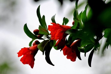 2012.12.22.A 804