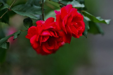 2012.12.22.A 640