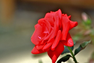 2012.12.22.A 1079