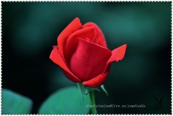 F5.6 1_320s ISO1000 -2_3 210mm093