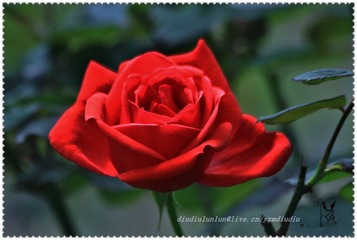 F6.3 1_400s ISO800 -2_3 235mm089