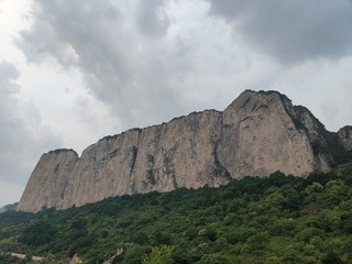 1000006549
