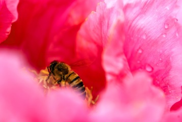 DSC_2661AT