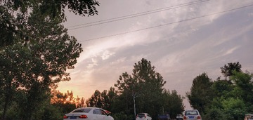 1000006586