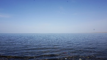 1000312966