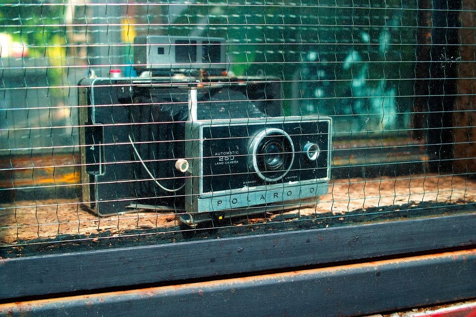 SDIM1735<br />

