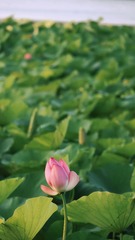 001