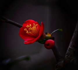 C9474DE2-B688-4C03-91CF-D1B20E26DBF4/L0/001