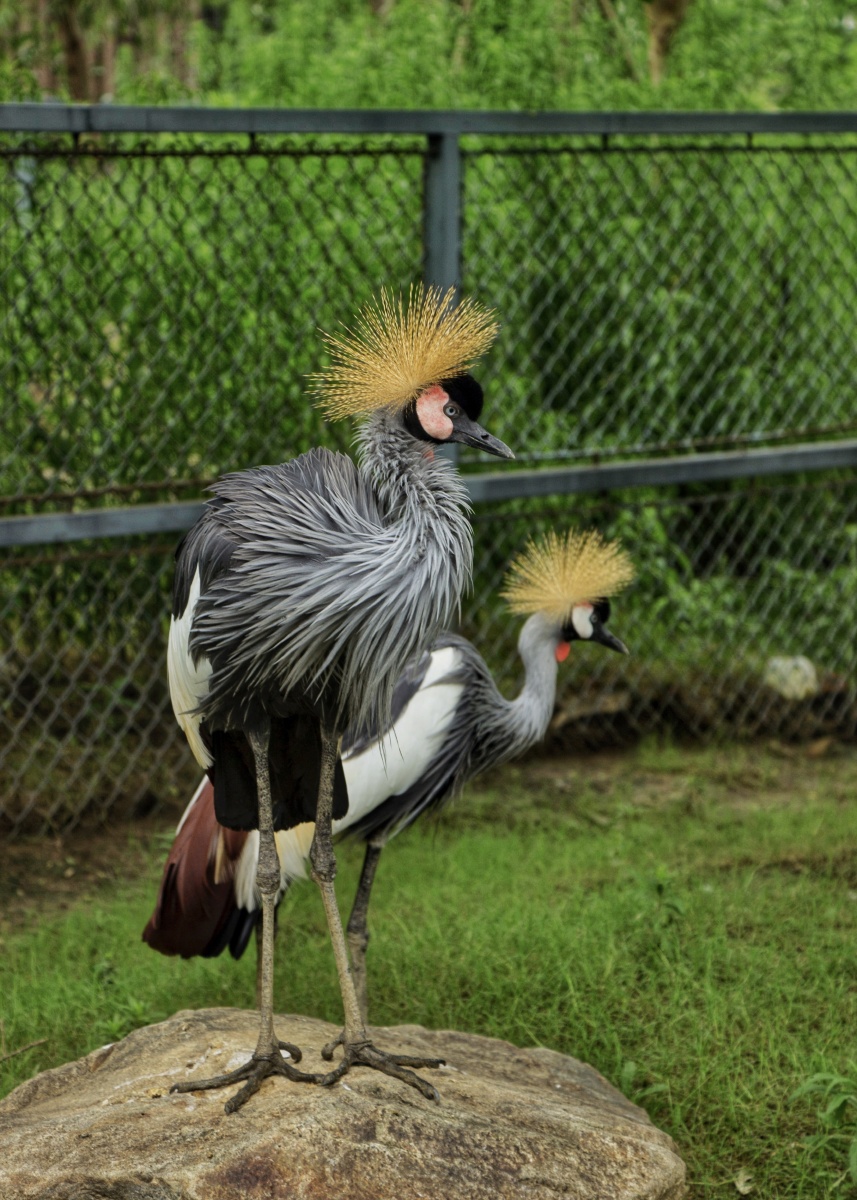 动物世界 半日游 - 莫扎兔呢 - 图虫