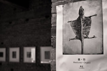 SDIM8442.jpg