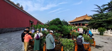 大明宫