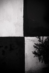 方格