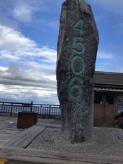2341