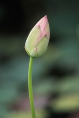 IMG_6002（待发）.JPG