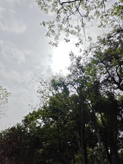 1000011282