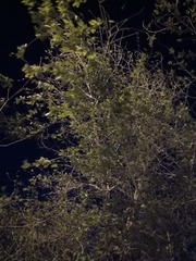 158454
