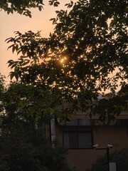 1000016440