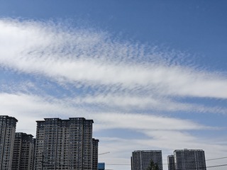 1000016609